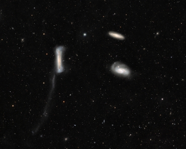 SVX140T - Leo Triplet