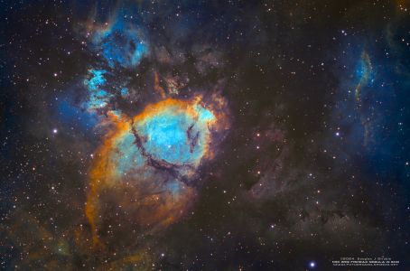 SVX102T-R - Fish Head