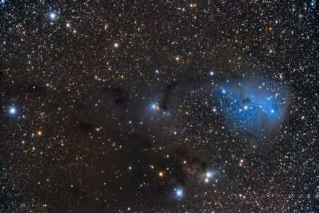 IC 2167, IC 2169 - Ken Walker