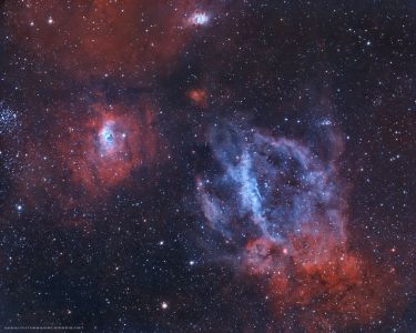 Sh2-157 Lobster Claw - Douglas Struble